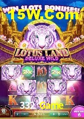 Recursos de Bônus 332 Game